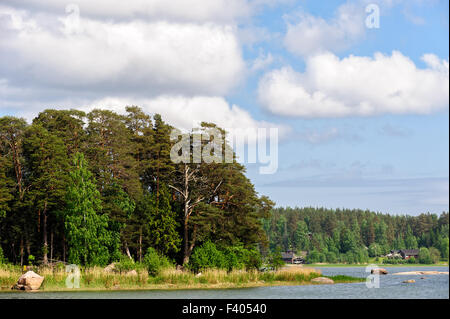 Forest on islands in finland gulf Stock Photo