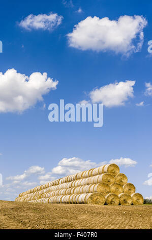 Field with Stacks of straw and blue sky Stock Photo - Alamy