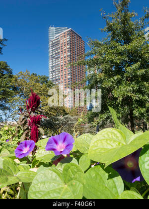 Urban Farm, Battery Park, NYC Stock Photo