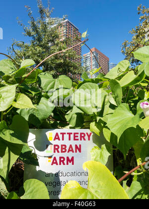 Battery Urban Farm Sign, Battery Park, NYC Stock Photo