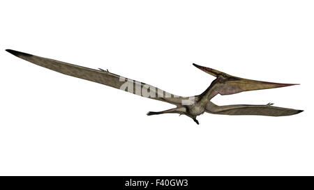 Pteranodon flying - 3D render Stock Photo