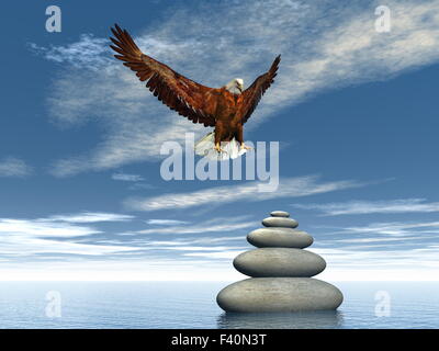 3D digital render of a landing bald eagle isolated on white background ...