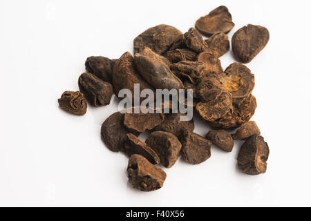 Cola nuts Stock Photo