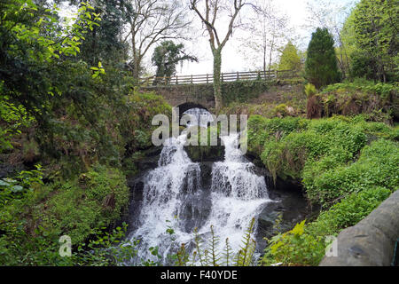 Flowing Waterfall at Rouken Glen Park like a Fairy Tale, Water going under bridge and flowing down stones Stock Photo