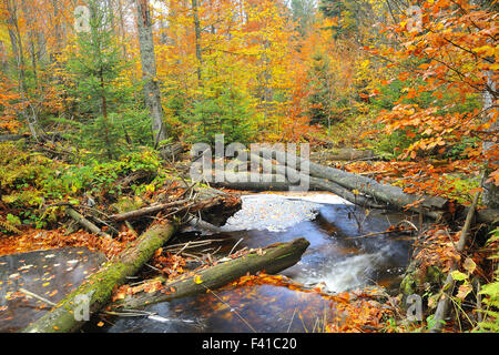 Kleine Ohe Stock Photo