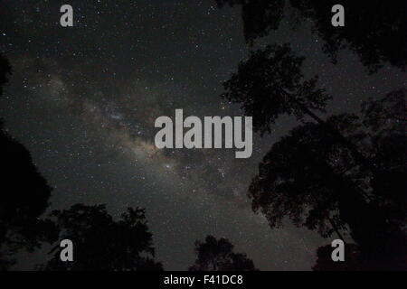 Beautiful milky way of Borneo, Malaysia Stock Photo