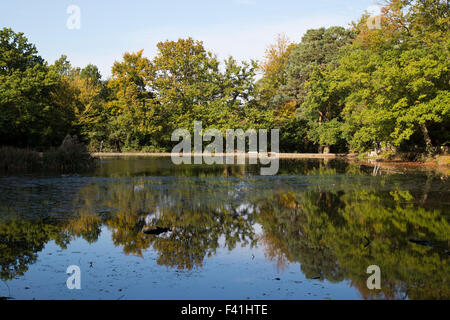 Keston Ponds in Autumn in Bromley Kent UK Stock Photo