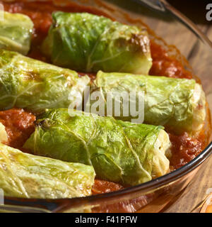 Vegetarian stuffed savoy cabbage rolls filled with wholegrain rice Stock Photo: 88550089  Alamy