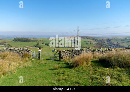 Horses grazing in field above the Aber Valley, Cefn Eglwysilan near Caerphilly, South Wales Valleys, UK. Stock Photo