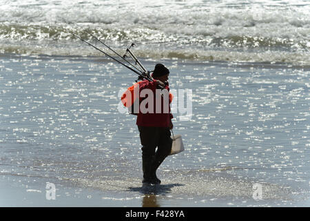 fisherman with rods on shoulder walks the strand line for a spot of beach casting at Llangennith, Gower, Wales, UK Stock Photo