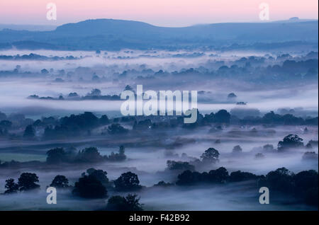 a misty morning in the Blackmore Vale, Dorset, England, UK Stock Photo