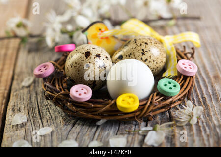 Easter nest with quail eggs. Stock Photo
