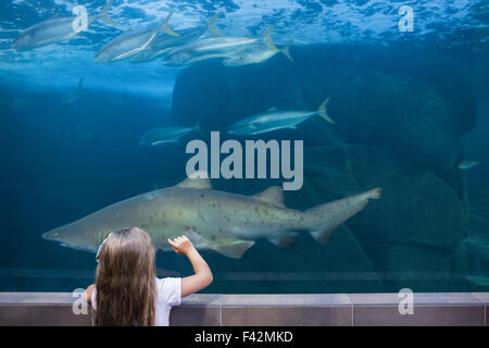 Little girl looking at fish tank Stock Photo