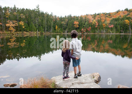 Young brother and sister looking at peaceful lake, rear view Stock Photo