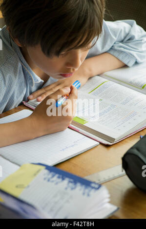 Boy studying Stock Photo