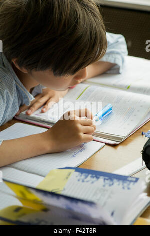 Boy studying Stock Photo
