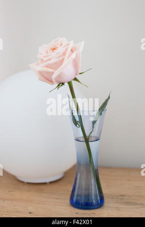 Single rose in vase Stock Photo