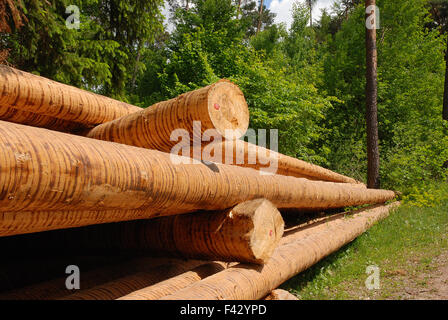 Tree trunk; Timber harvesting;