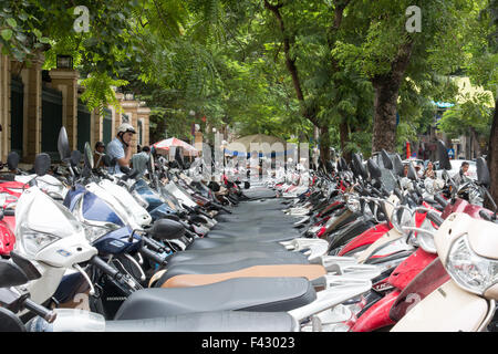row after row of parked motorcycle scooters in Hanoi the capital of Vietnam. over 45 million scooters in Vietnam. Stock Photo