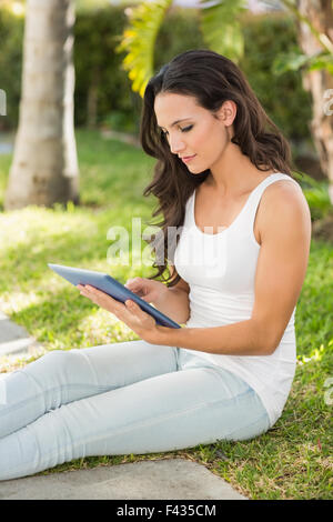 Pretty brunette using tablet pc Stock Photo