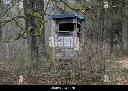 Deer stand in a Bavarian forest Stock Photo