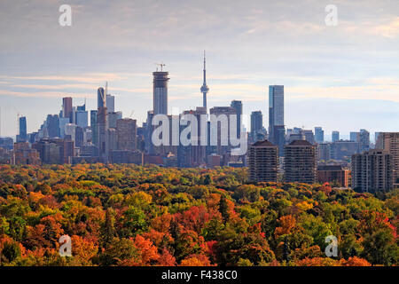 Toronto city skyline with major landmark buildings including CN Tower and downtown officer skyscrapers with midtown forest in fa Stock Photo