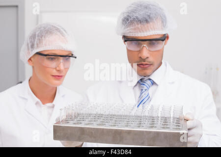 Scientists examining tubes Stock Photo