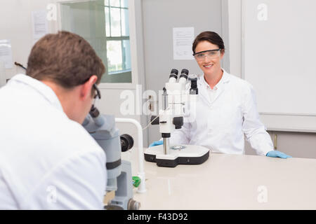 Scientists looking attentively in microscopes Stock Photo