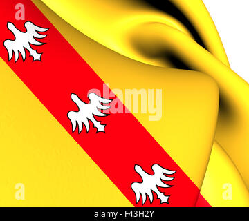 Flag of Lorraine Stock Photo