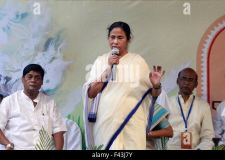 Kolkata, India. 14th Oct, 2015. Chief Minister of West Bengal Mamata Banerjee speaks during the inauguration of Kumartuli Sarbojonin Durgotsav Devi Durga Idol. © Saikat Paul/Pacific Press/Alamy Live News Stock Photo