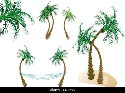 Vector palm trees Stock Vector