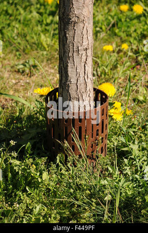 Bark-protect Stock Photo