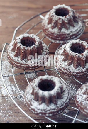 Mini chocolate Bundt cake with icing sugar on cake rack Stock Photo