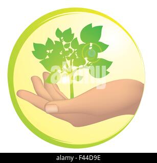 Tree growing in a human hand Stock Vector