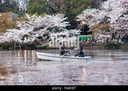 Rowboat with couple in water filled with cherry blossom pedals Stock Photo