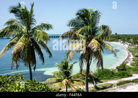 Florida Keys,highway Route 1 Overseas Highway,Bahia Honda State Park,Key,Gulf of Mexico,palm trees,FL150510028 Stock Photo