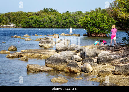 Florida Keys,highway Route 1 Overseas Highway,Key Largo,John Pennekamp Coral Reef State Park,Largo Sound,boy,girl girls,youngster youngsters youth you Stock Photo