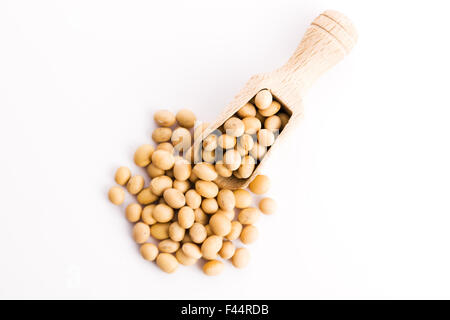 soya beans Stock Photo