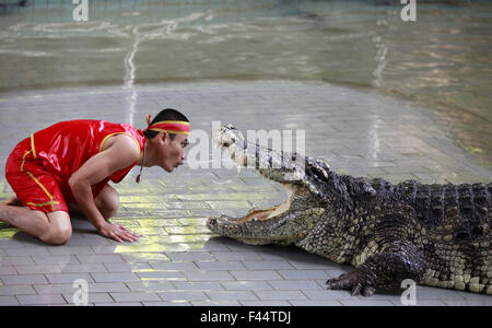 Crocodile show in Thailand Stock Photo