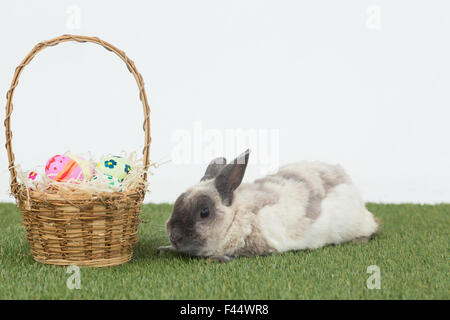Easter rabbit with basket of eggs on grass Stock Photo