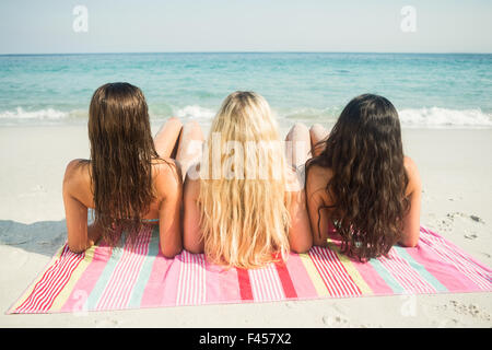 group of friends in swimsuits Stock Photo