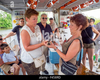 Tourists on a tour boat in a  Mississippi River swamp bayou in Jean Lafitte National Park, Louisiana, play with a live baby alligator. Stock Photo