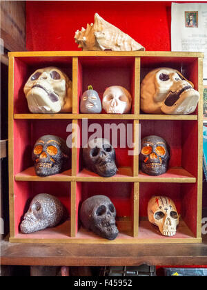 A whimsical selection of artificial skulls is offered for sale in the gift shop of the Voodoo Museum in New Orleans. Stock Photo