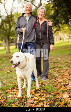 Senior couple in the park with dog Stock Photo