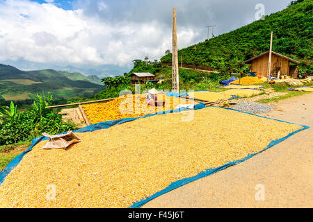 People and rice terrace landscape in Y Ty, Laocai, Vietnam Stock Photo