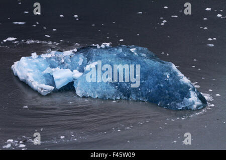 Piece of ice floating in the water on the cruise to the Hubbard glacier Stock Photo