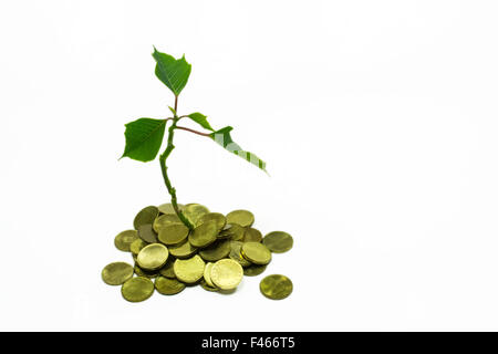 Small green plant , apparently growing from pile of coins , conceptual image about financial success and business growth Stock Photo