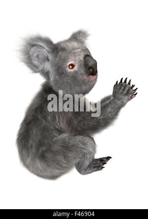 3D digital render of a cute koala isolated on white background Stock ...