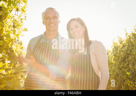 Smiling vintners showing bunch of grapes Stock Photo