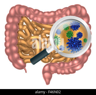 Magnifying glass focused on the human digestive system, digestive tract or alimentary canal showing bacteria or virus cells. Cou Stock Photo